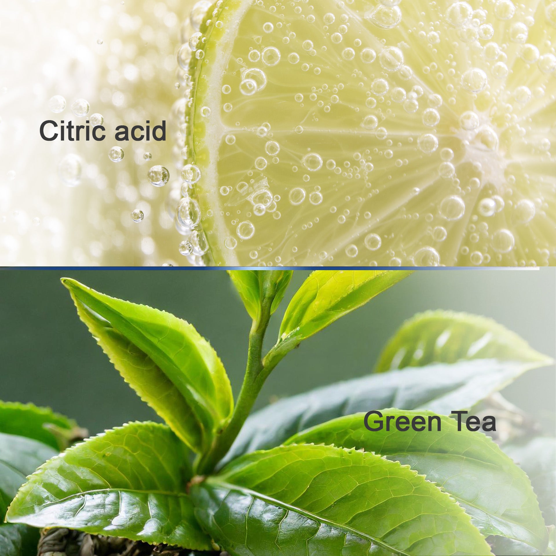 Marine Dew Aqua Essence